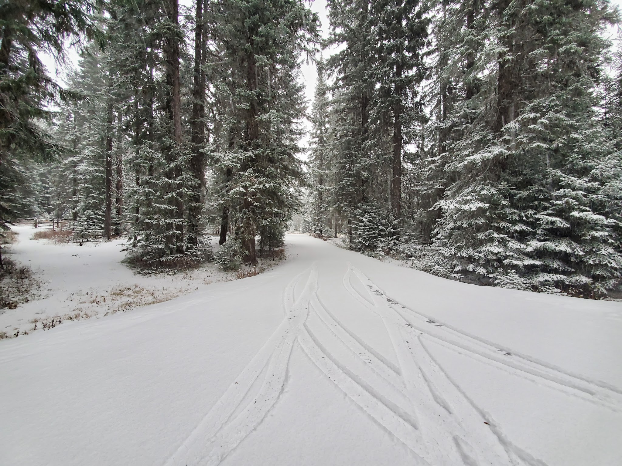 Hidden gem campgrounds in Idaho