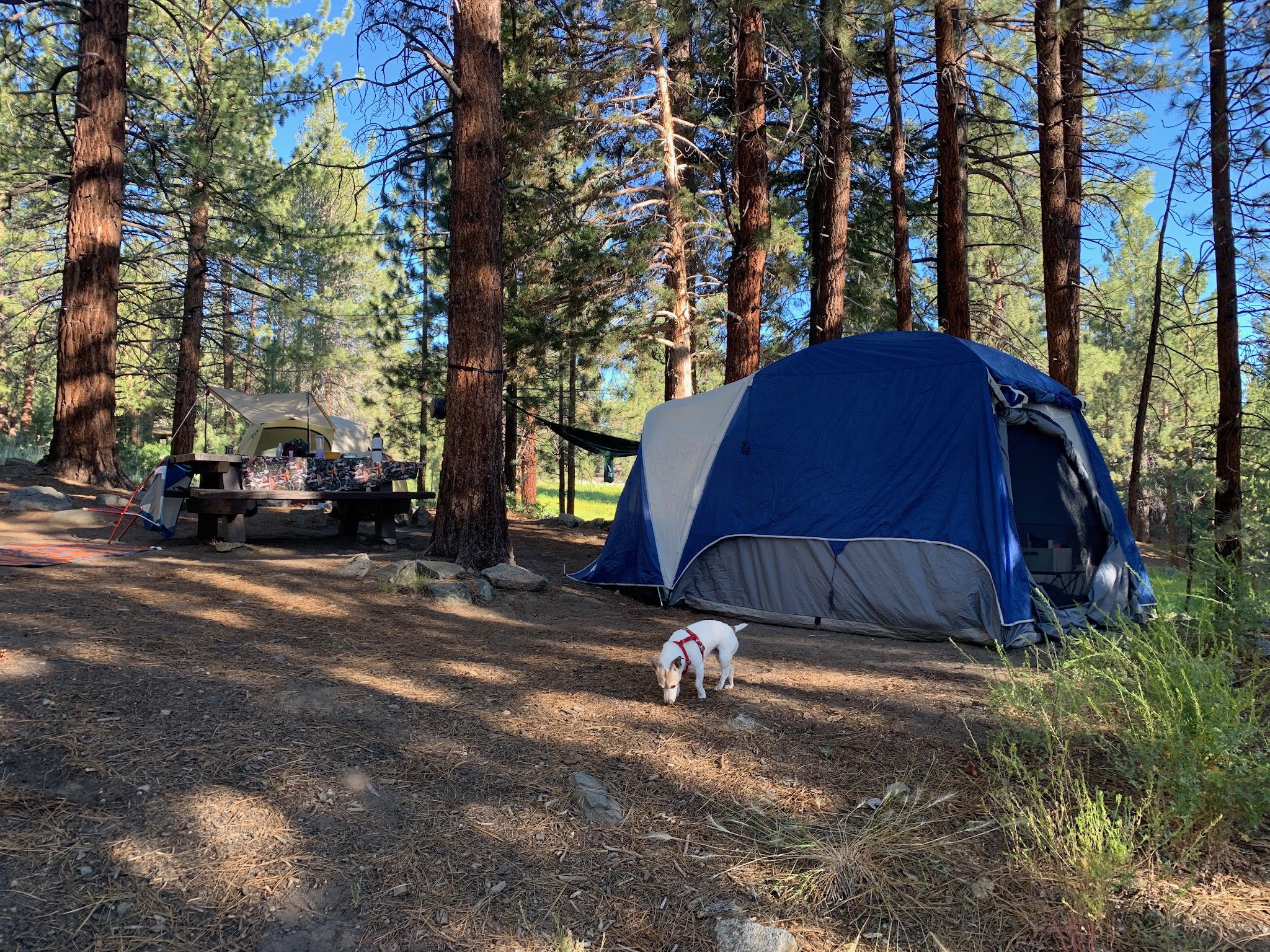 Fish Creek Campground