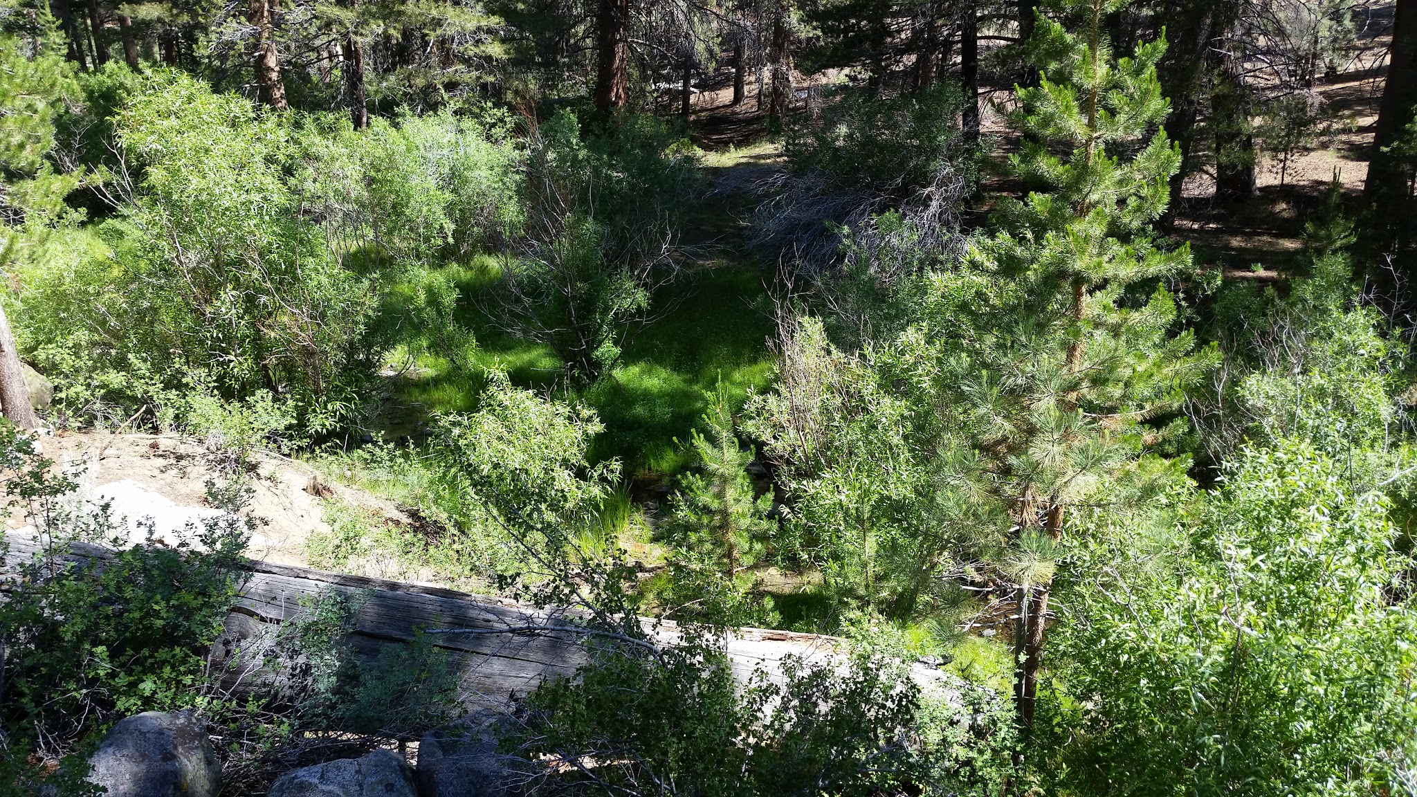 Fish Creek Campground