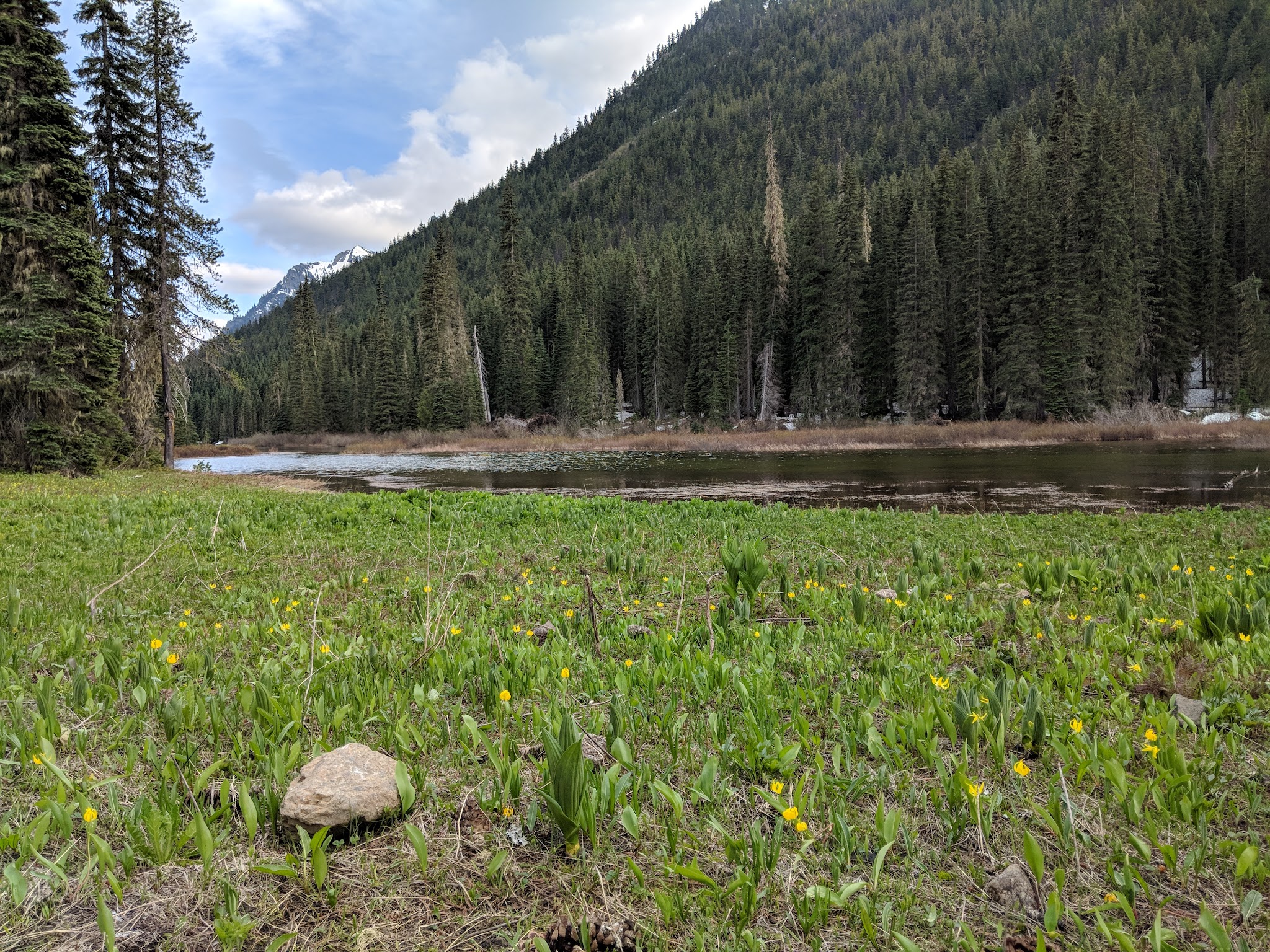 Fish Lake Campground