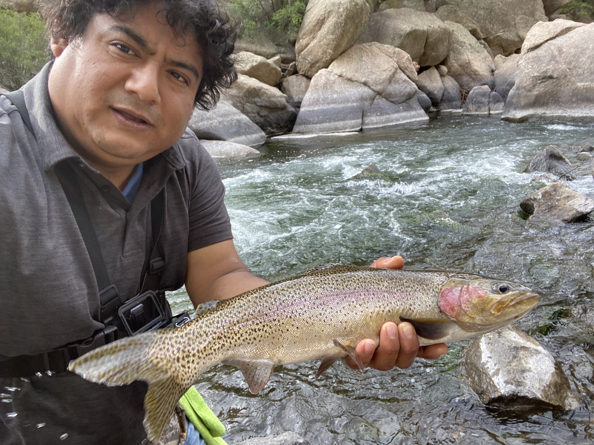 Eleven Mile State Park