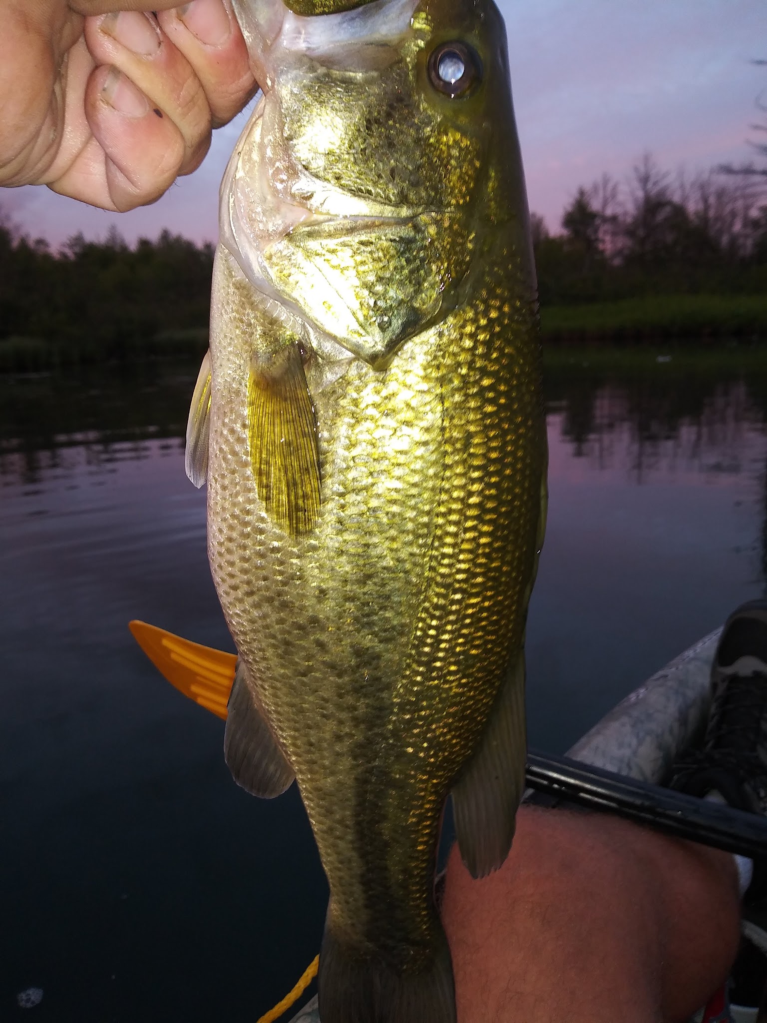 Twinwood Lake Campground