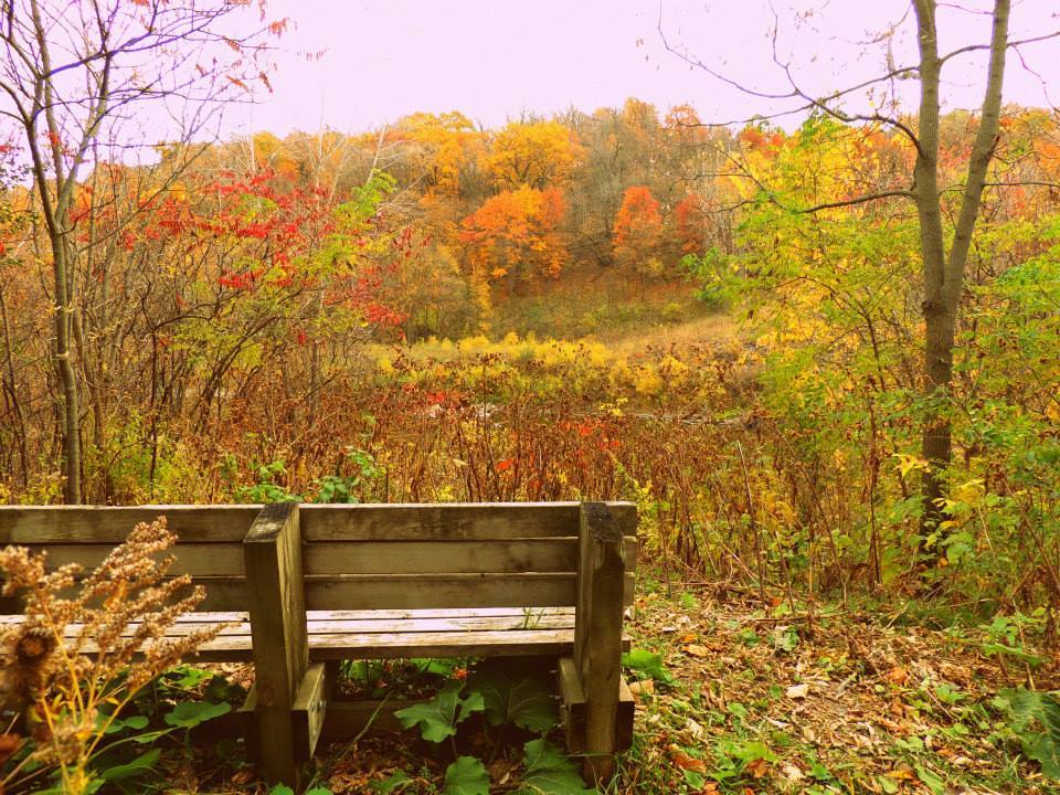 Camper Cabins Campground