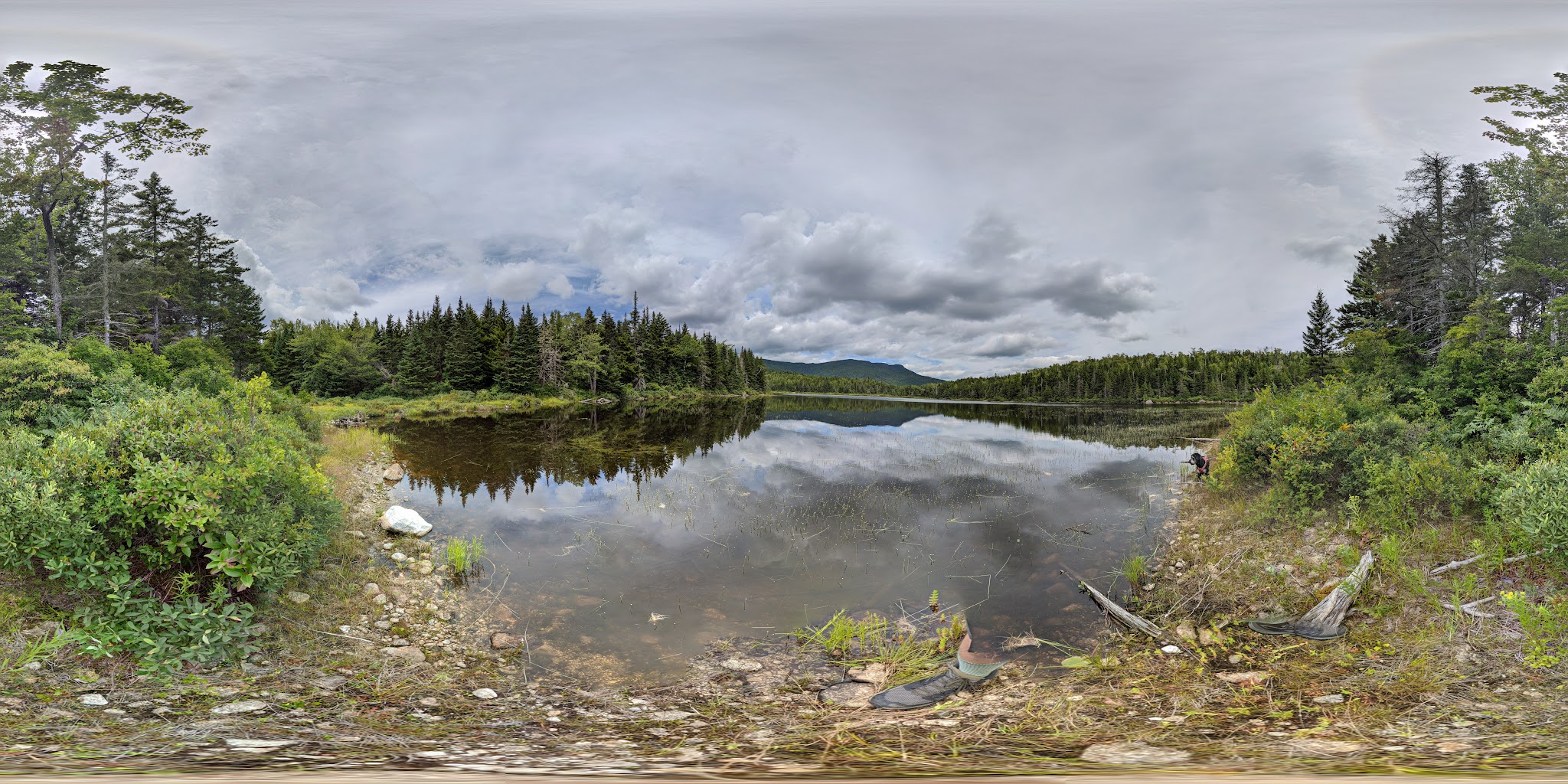 Flat Mountain Pond Shelter