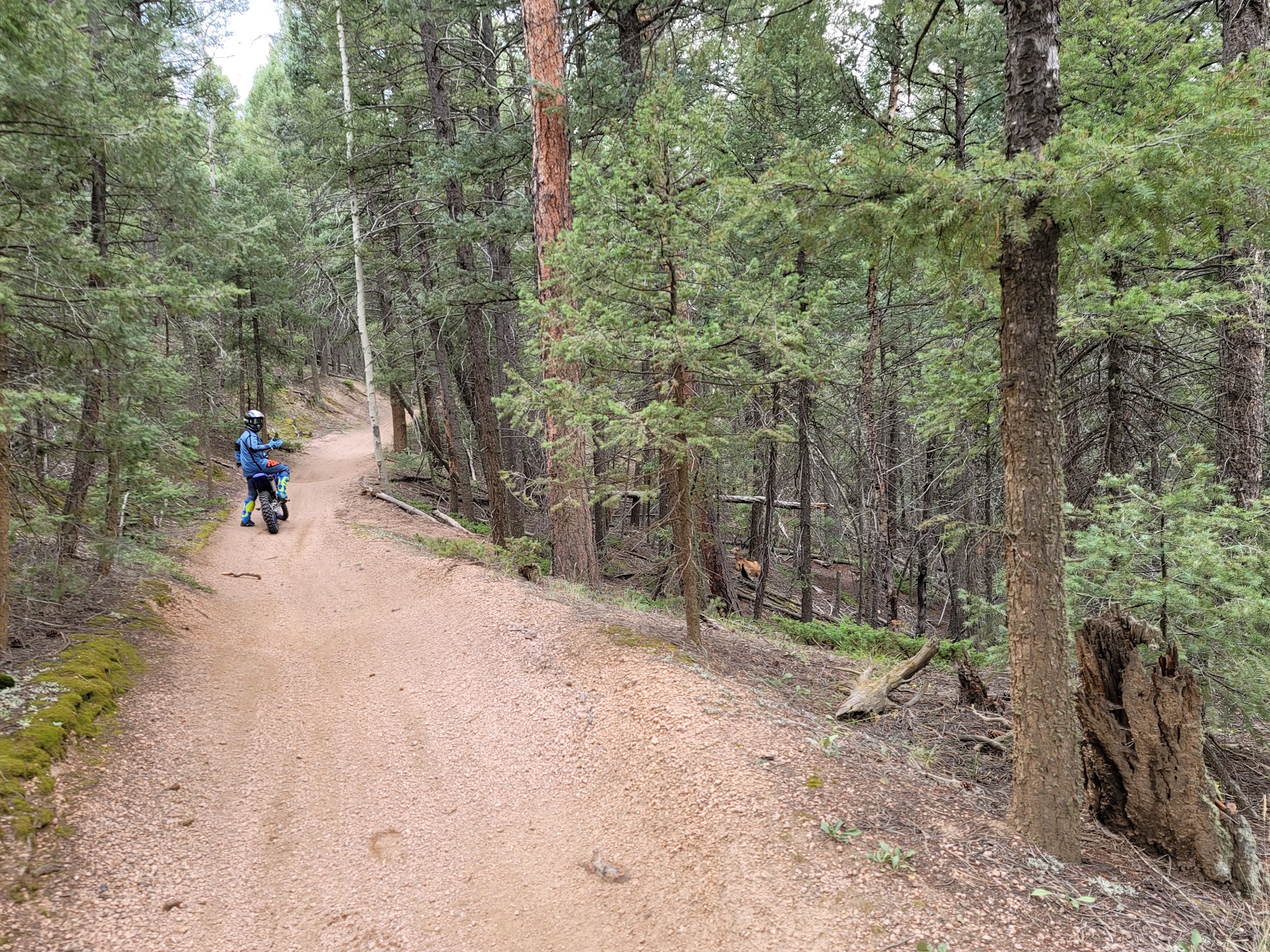 Flat Rocks Campground