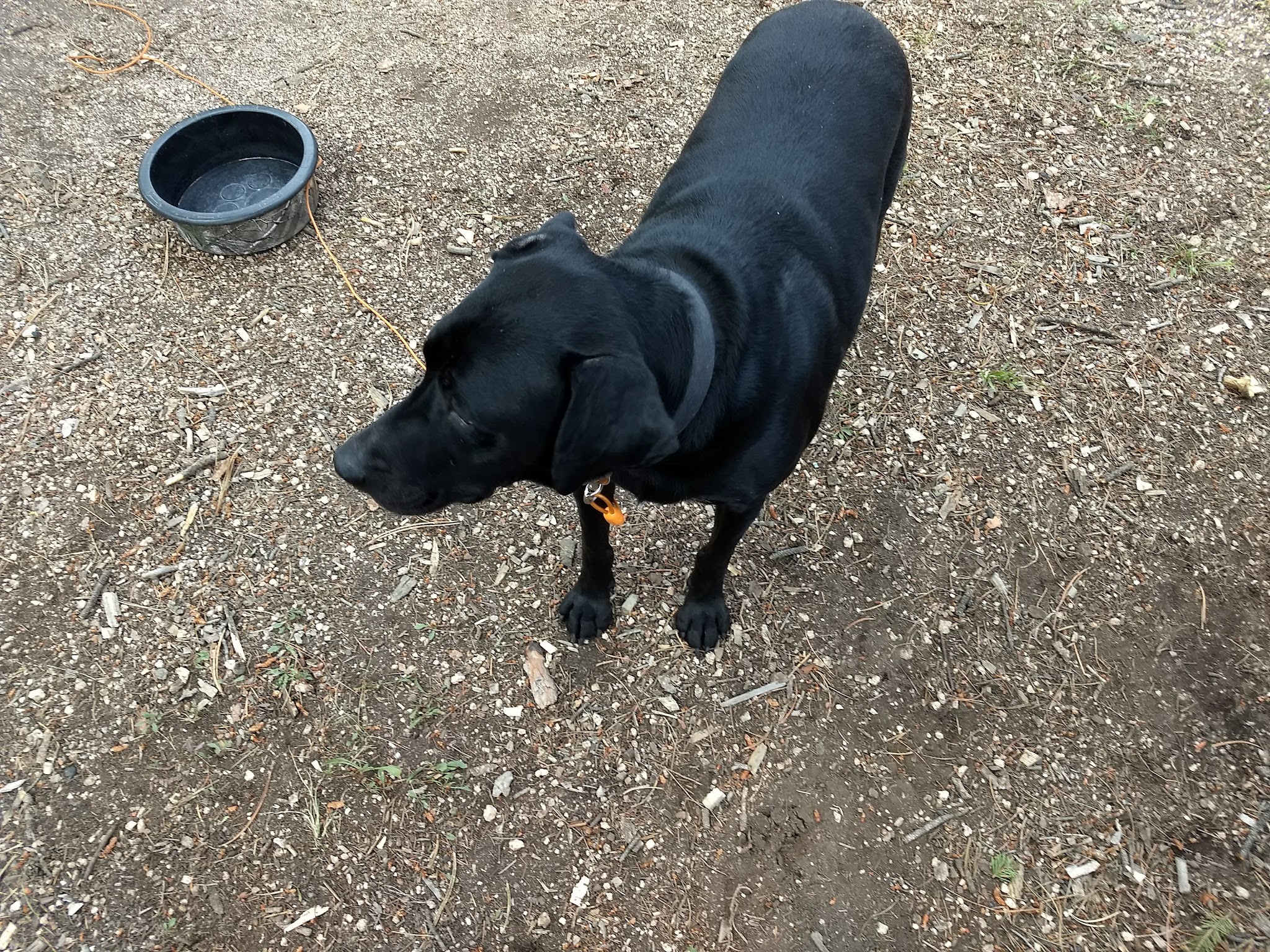 Flat Rocks Campground