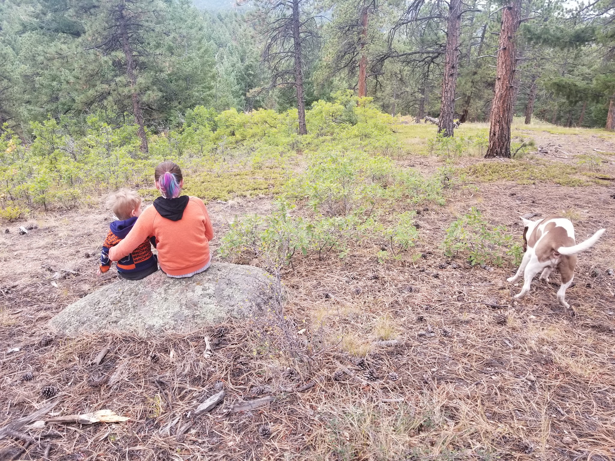 Flat Rocks Campground