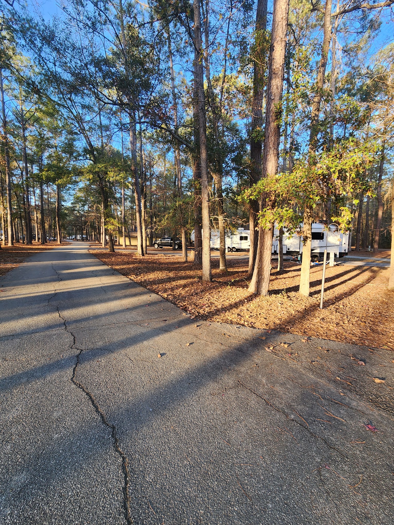 Florence Marina State Park