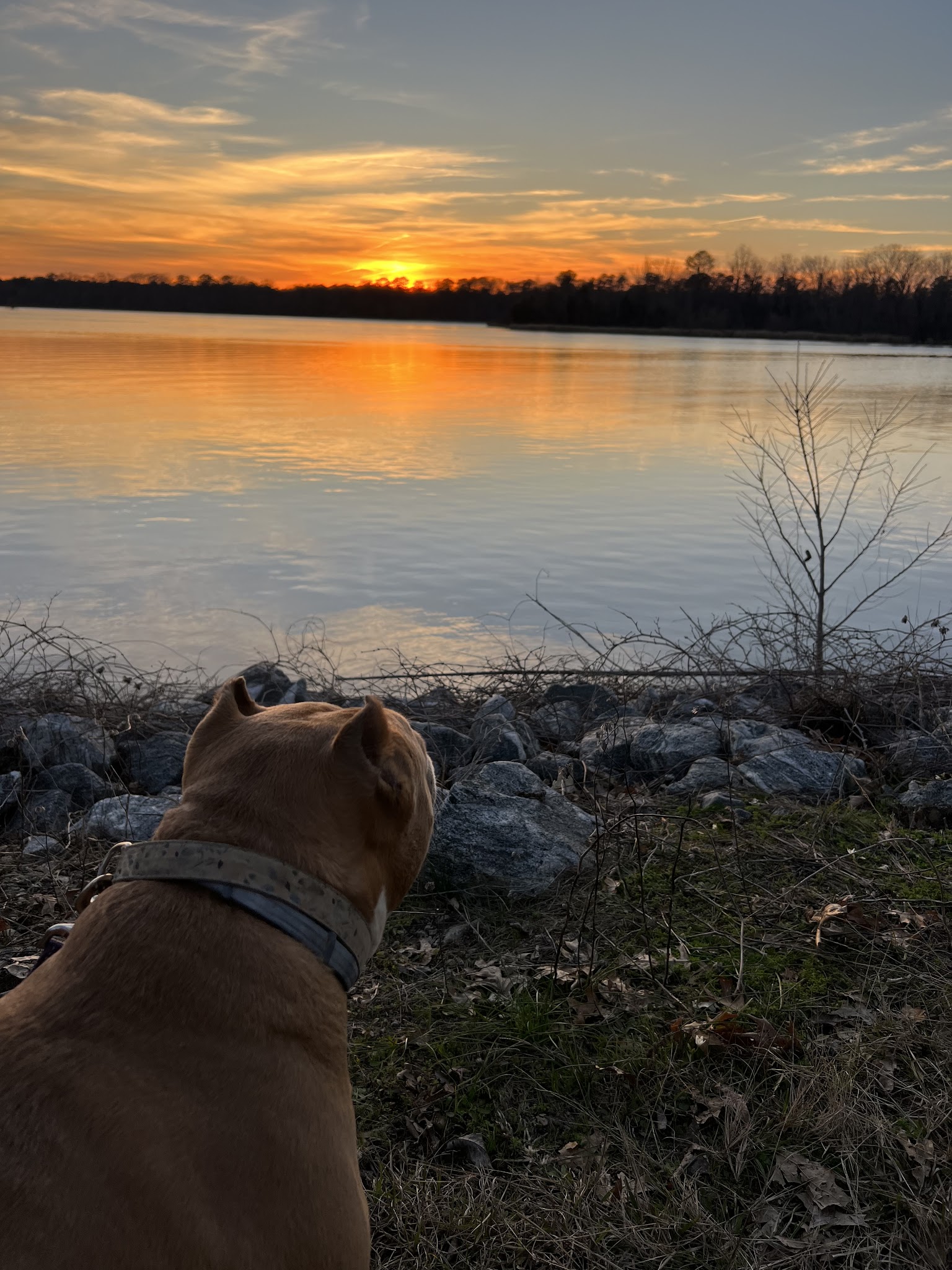 Florence Marina State Park