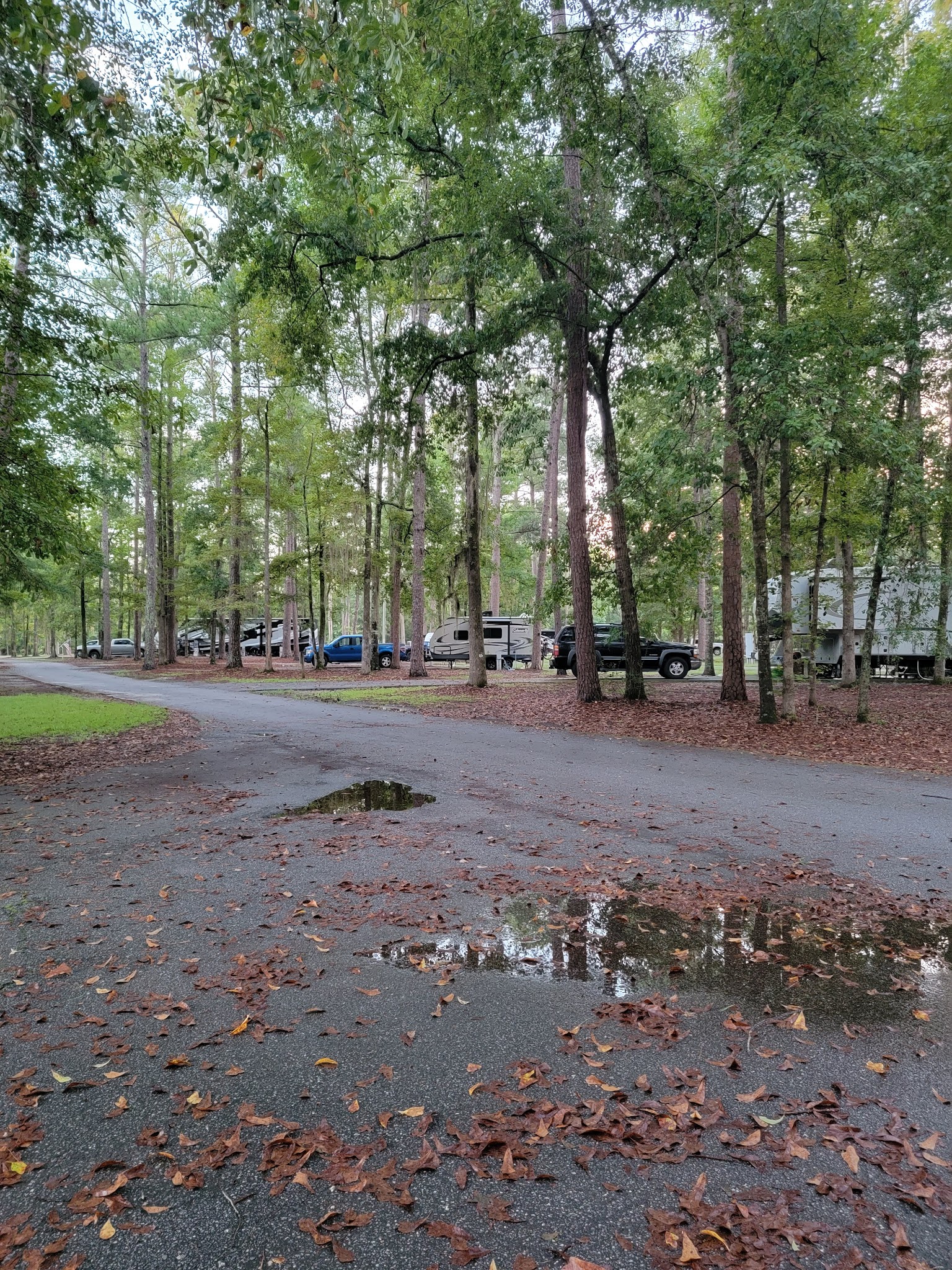 Florence Marina State Park