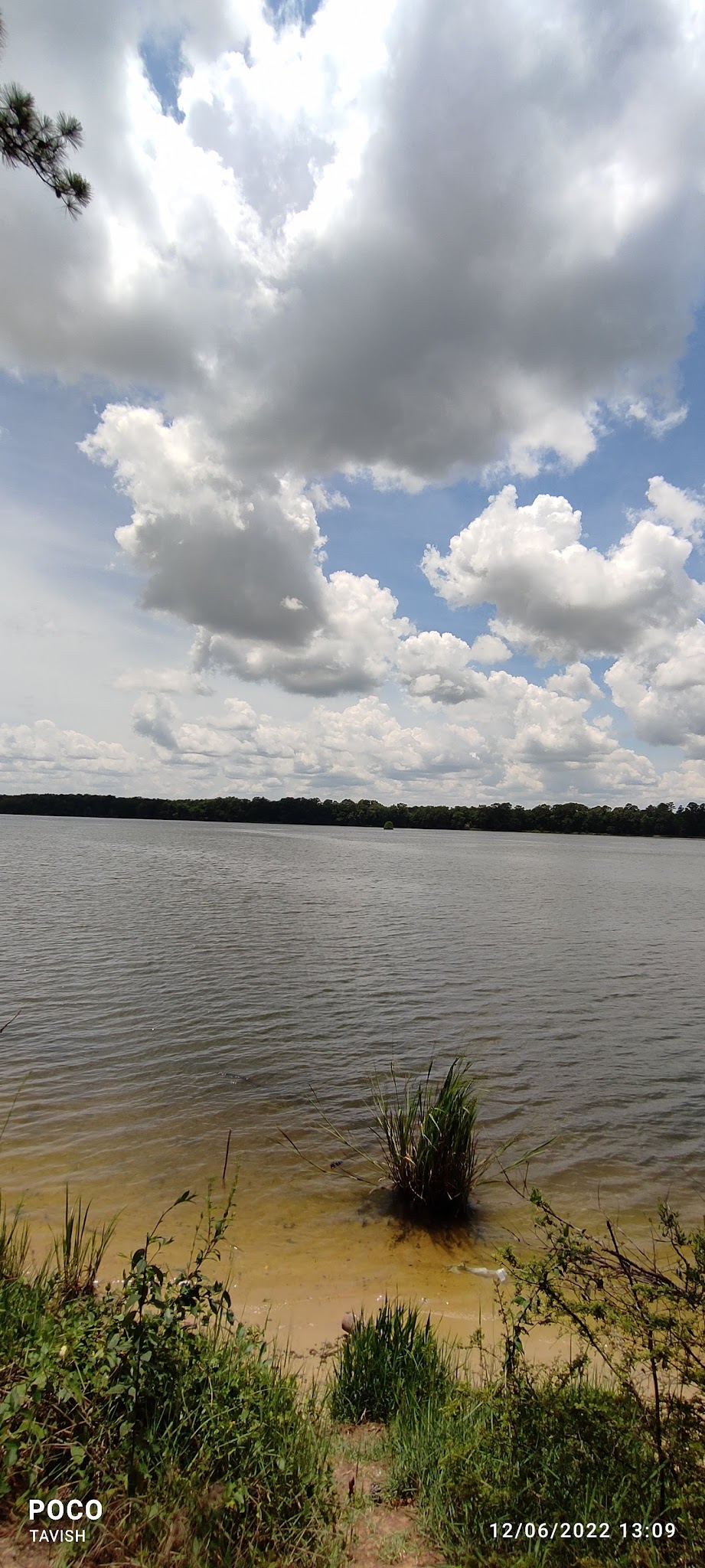 Florence Marina State Park