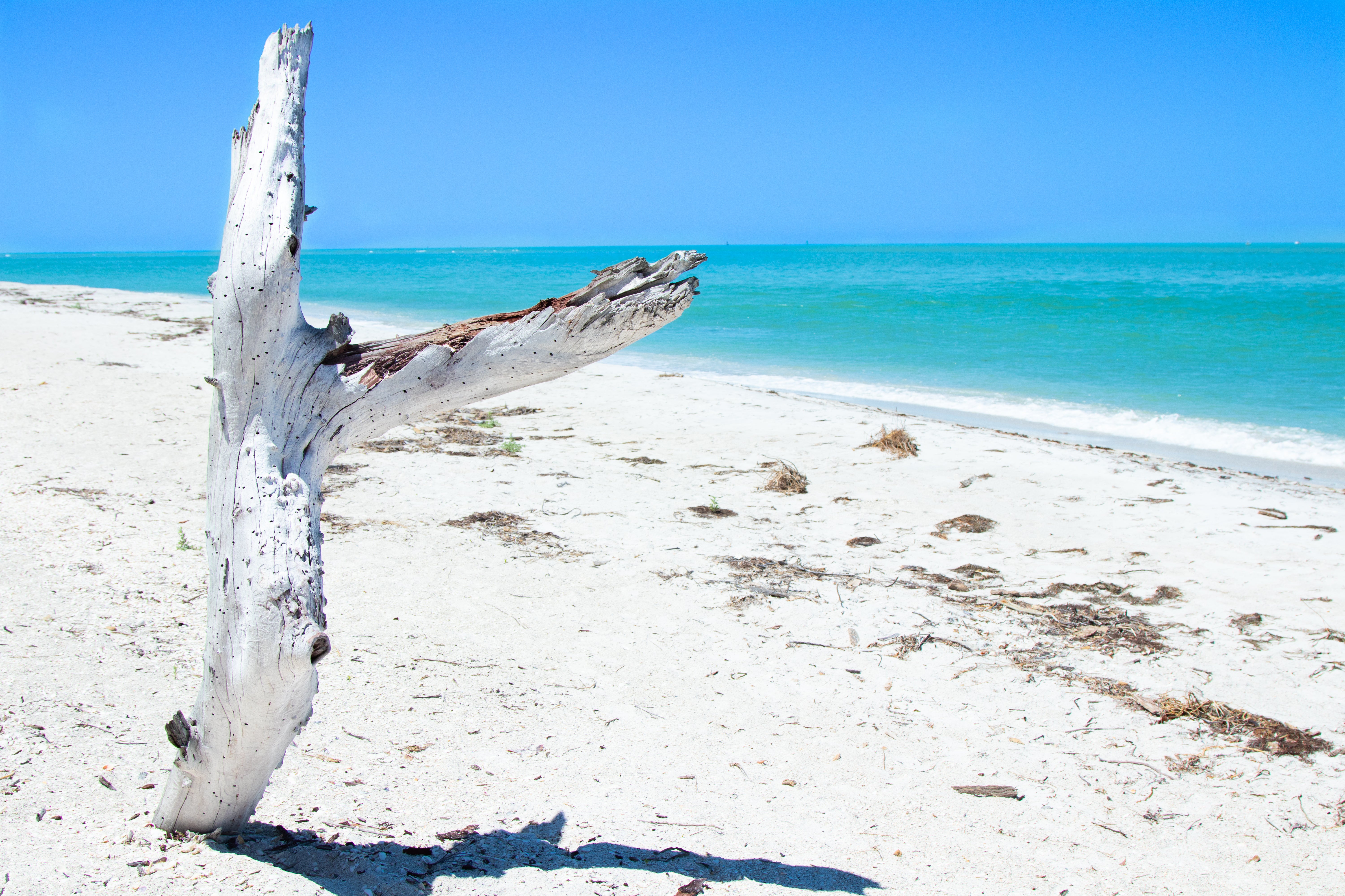 Cayo Costa State Park Campground 3