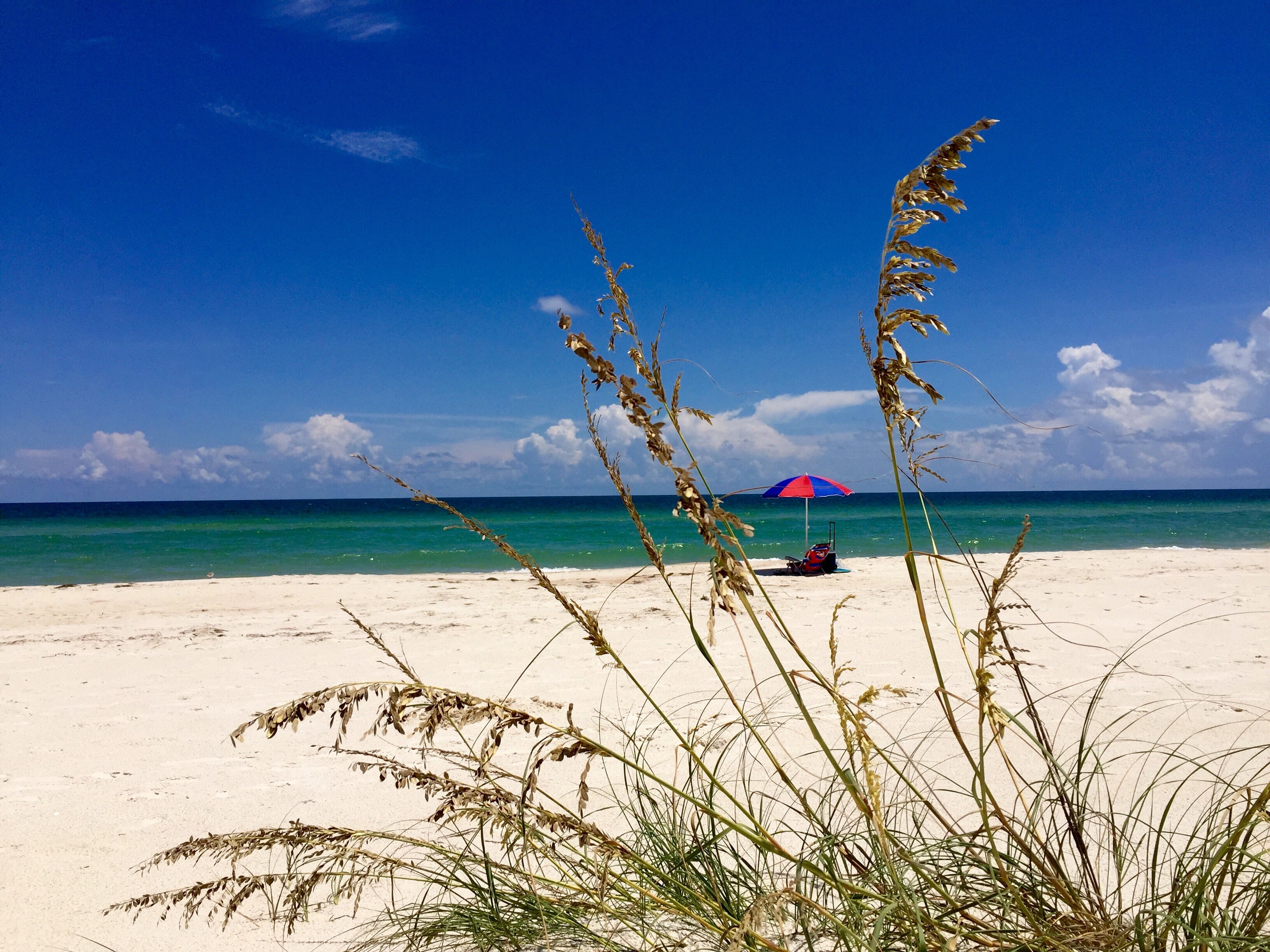 Dr. Julian G. Bruce St. George Island State Park Campground 3