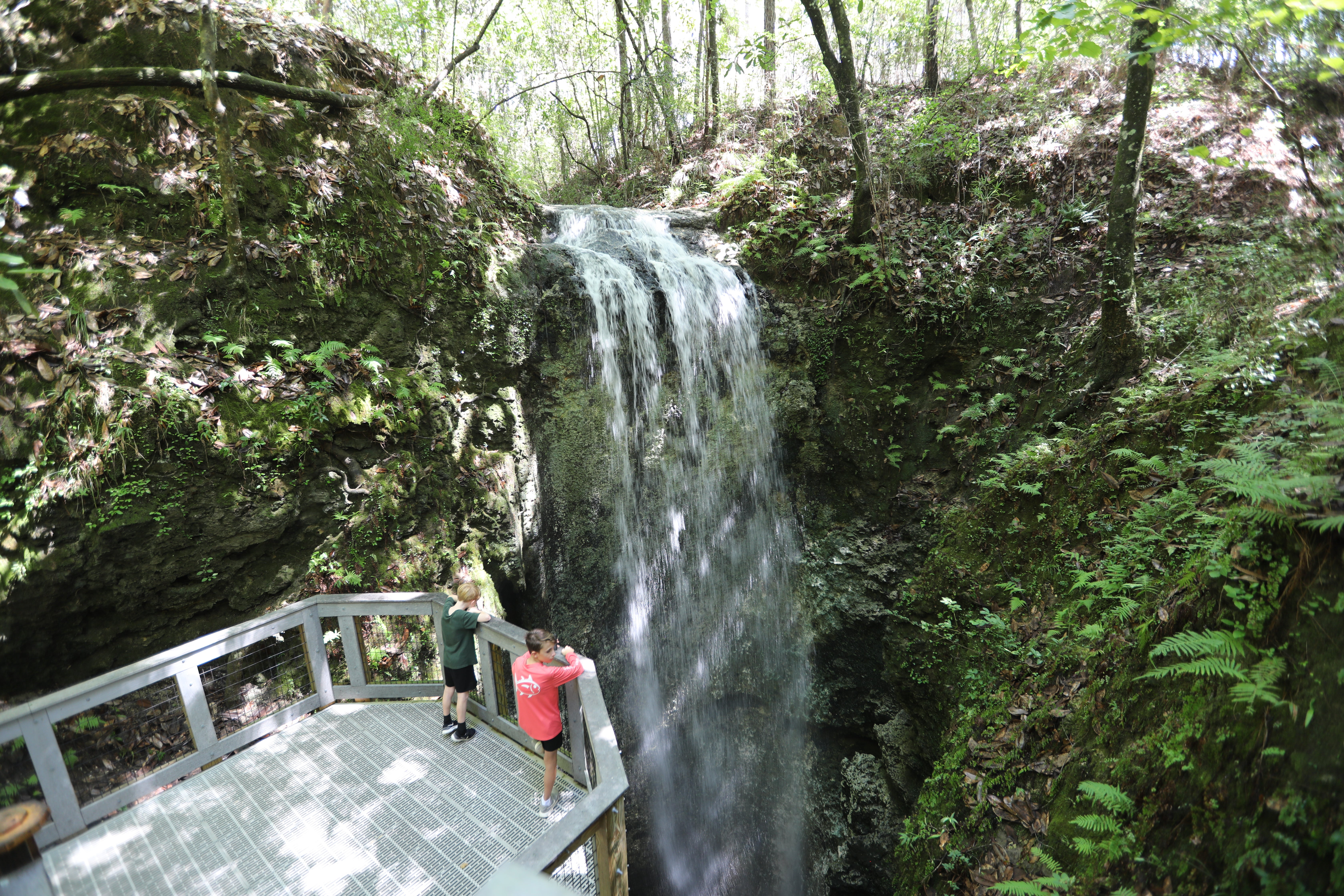 Falling Waters State Park Campground 2
