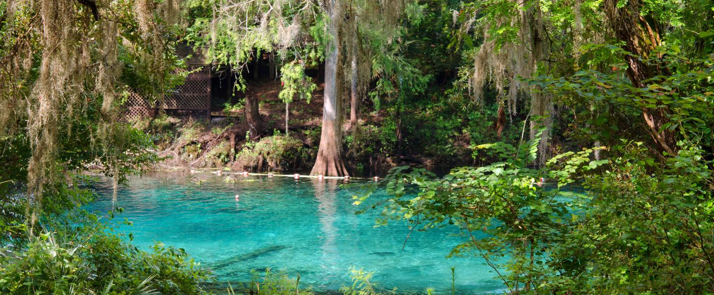 Fanning Springs State Park Campground 2