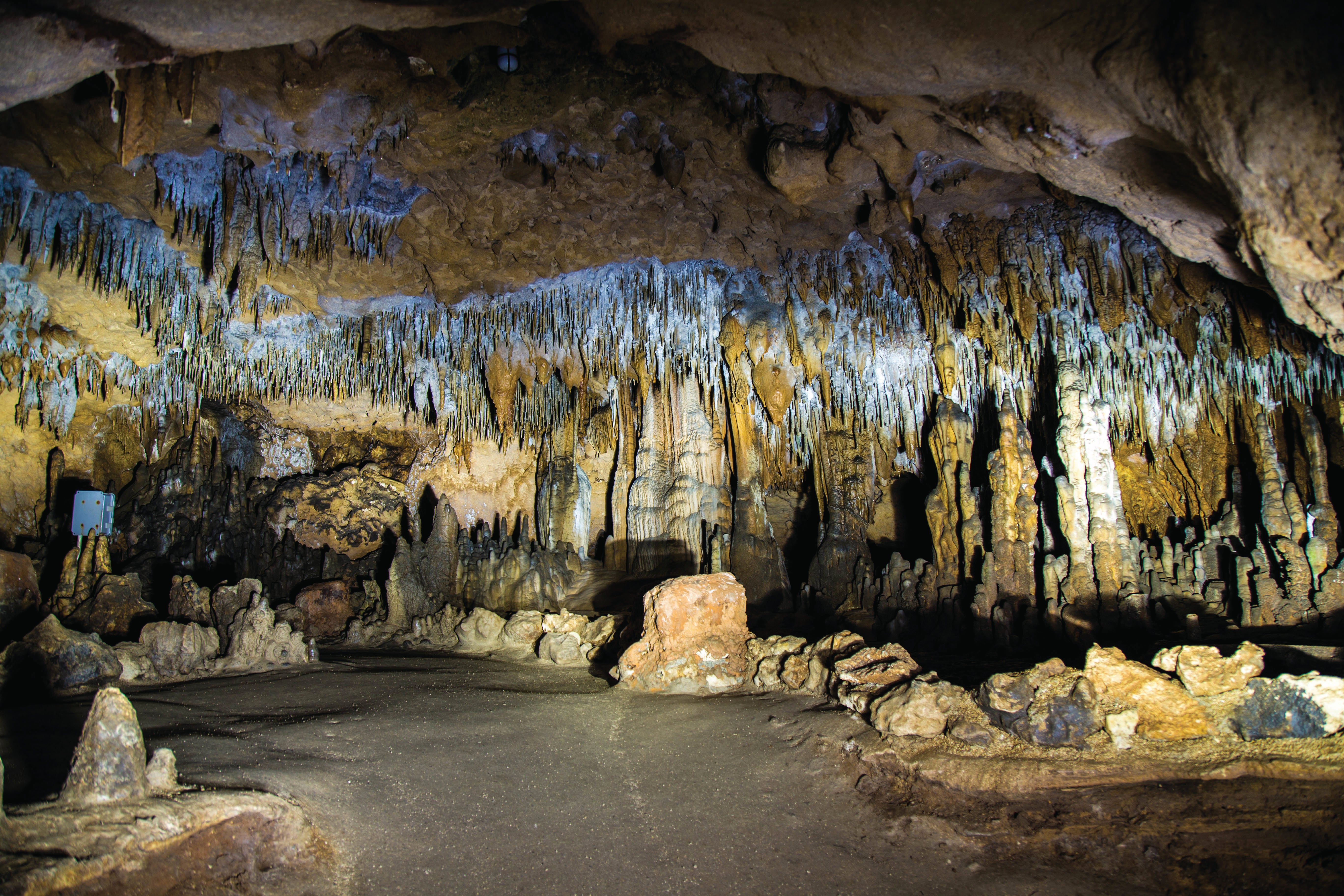 Florida Caverns State Park Campground 2