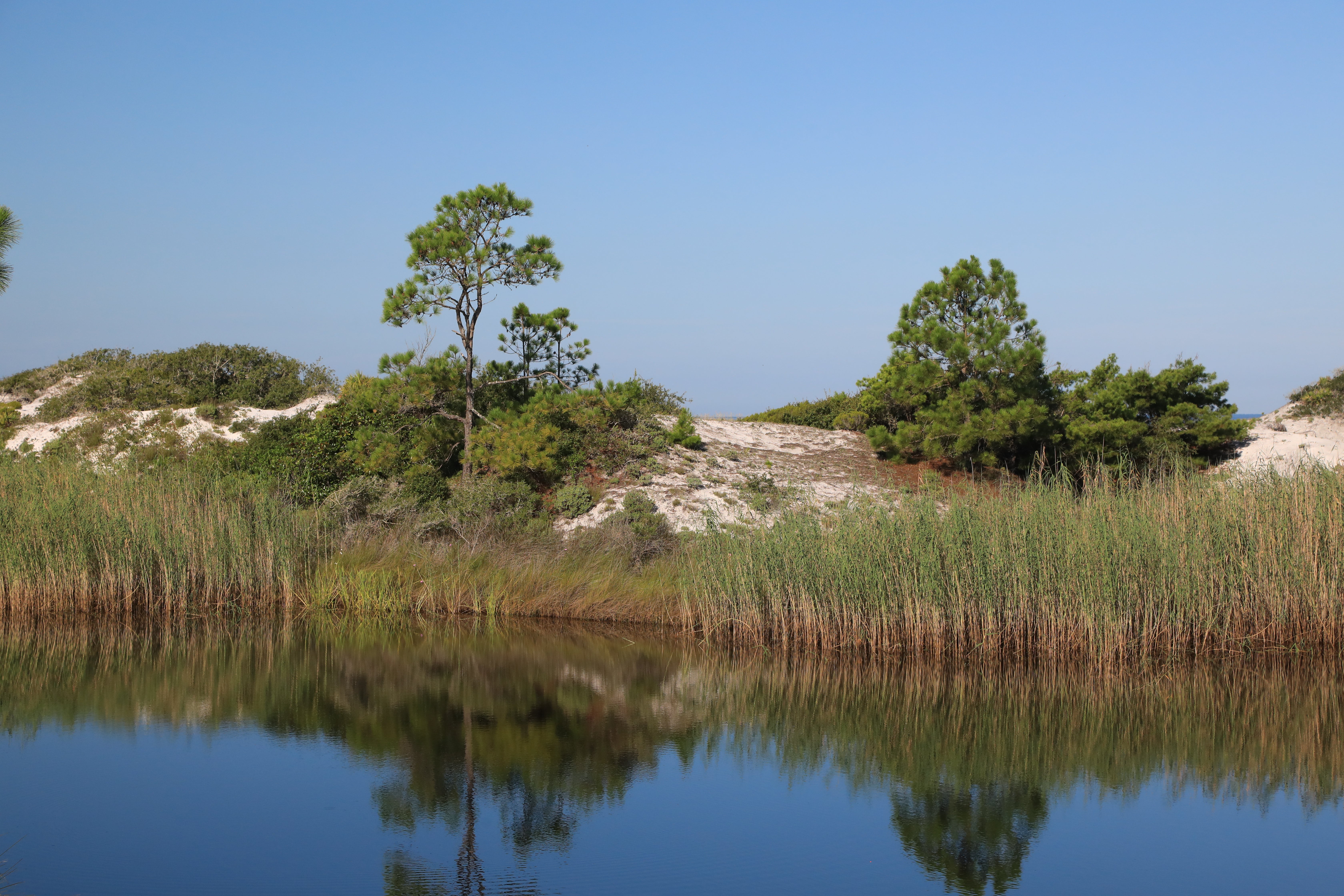 Grayton Beach State Park Campground 4