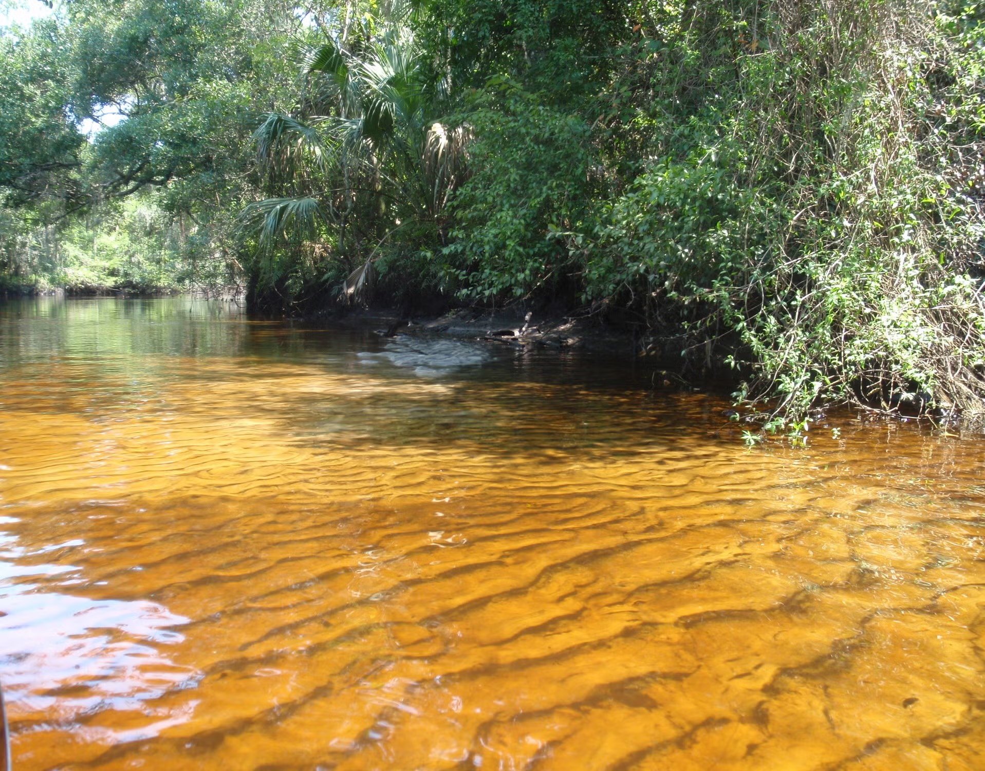 Little Manatee River State Park Loop Lmre