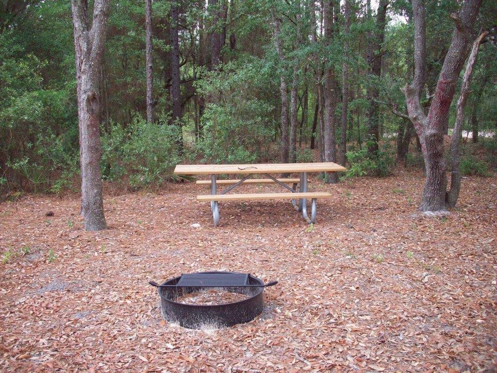 Cayo Costa State Park Loop A