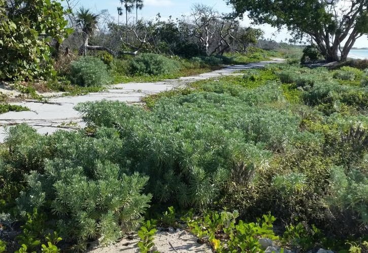 Bahia Honda State Park Campground