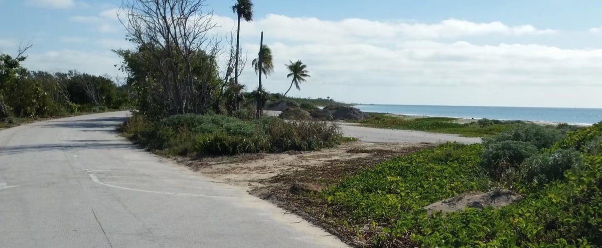 Bahia Honda State Park Campground