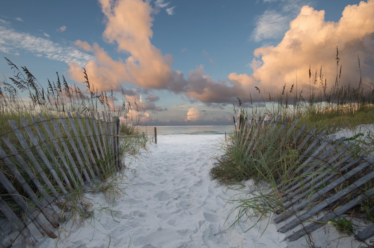 Henderson Beach State Park Campground 3