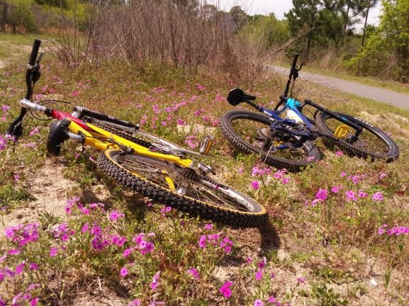 Santos Trailhead And Campground Campground