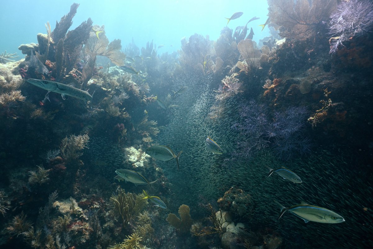 John Pennekamp Coral Reef State Park Campground