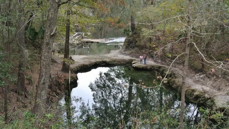 Lafayette Blue Springs State Park Cabin Loop
