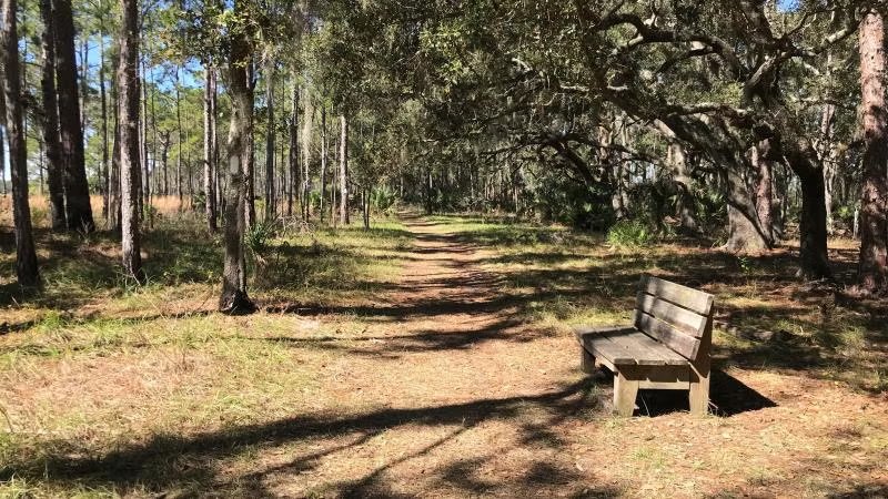 Lake Kissimmee State Park Loop Lk1