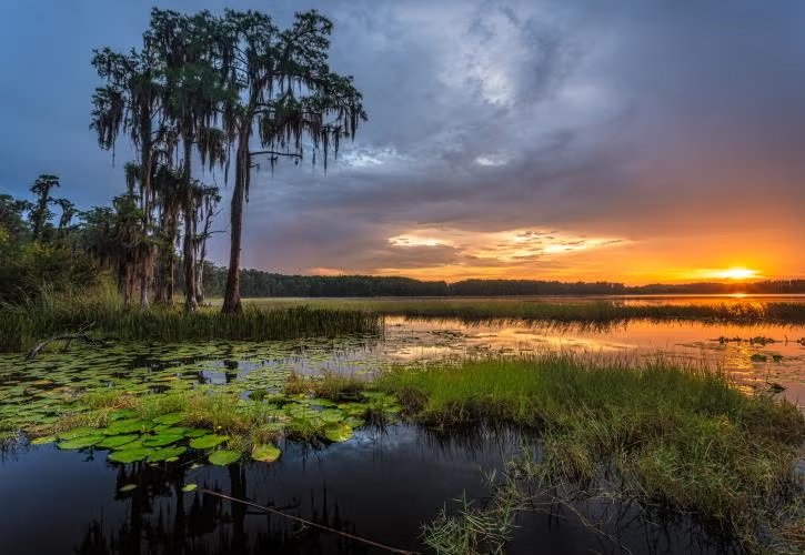 Pet-Friendly Campgrounds in Florida