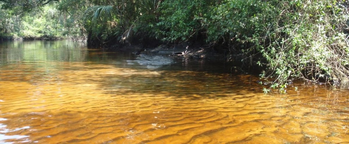 Little Manatee River State Park Loop Lmr1