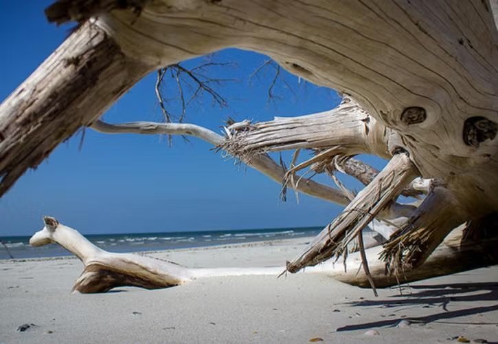 Little Talbot Island State Park Campground