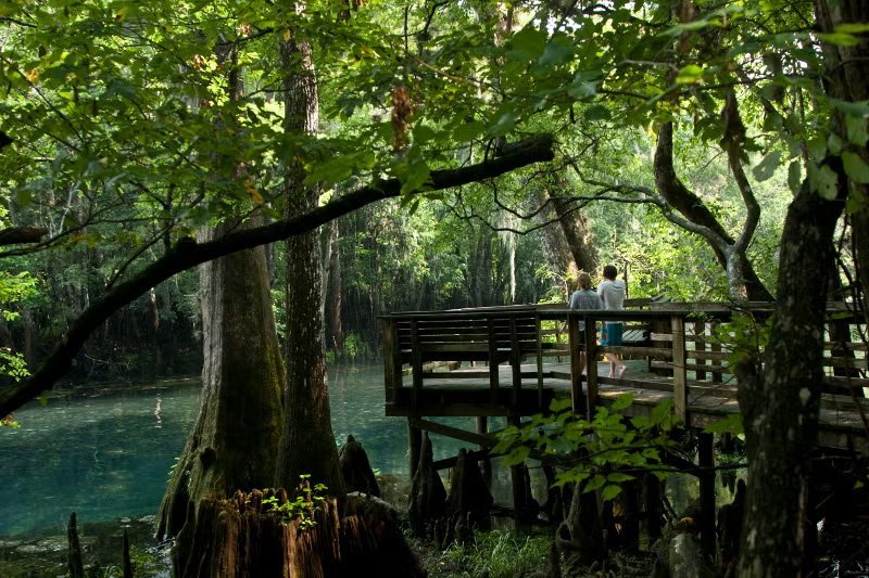 Tent Campgrounds in Florida