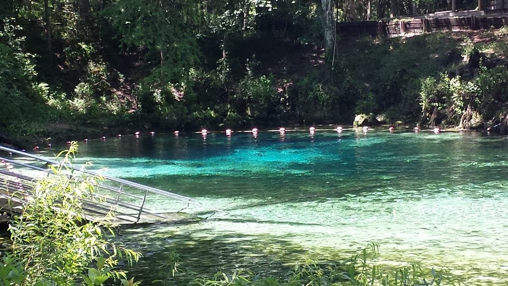 Manatee Springs State Park Loop Mag1