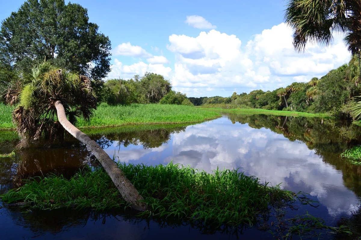 Myakka River State Park Campground