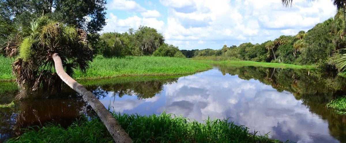 Myakka River State Park Campground