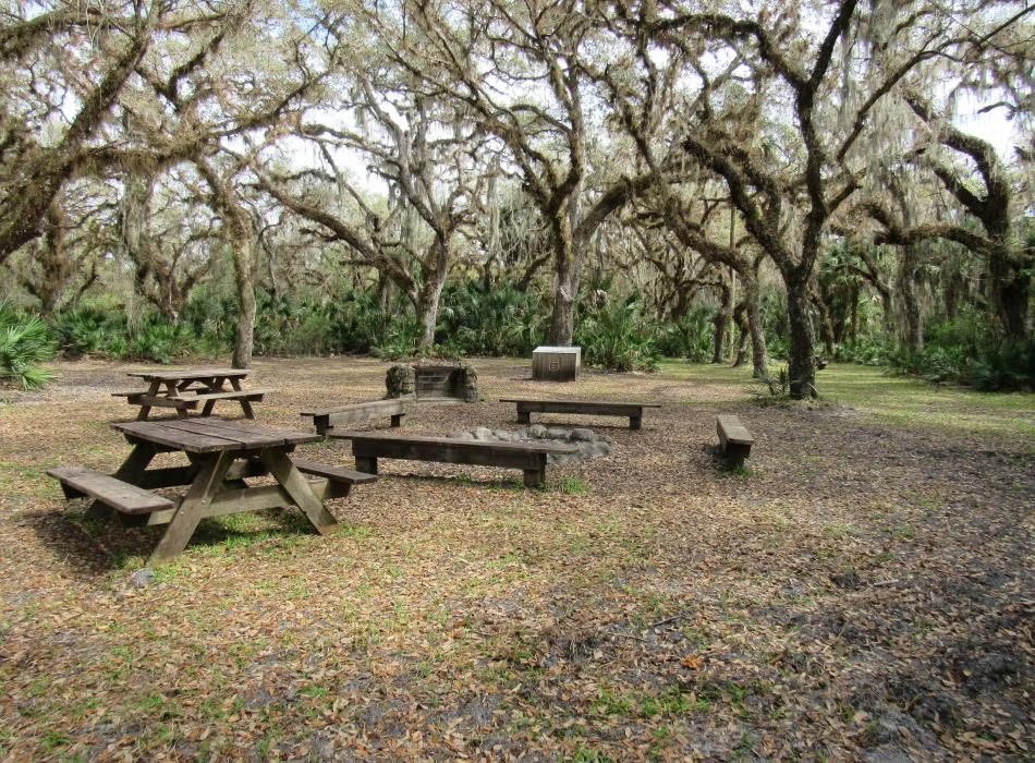Myakka River State Park Big Flats Campground