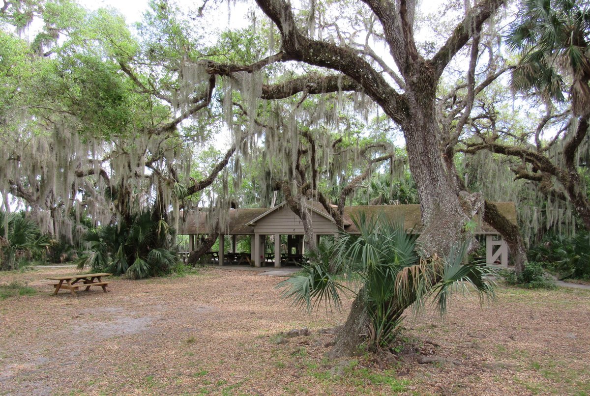 Myakka River State Park Campground