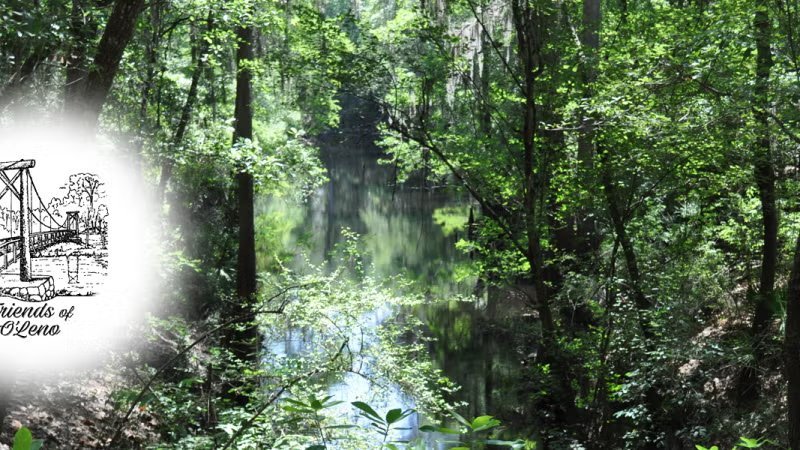 O'Leno State Park Loop Dog1