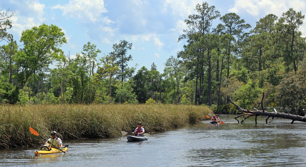 Ochlockonee River State Park Loop A
