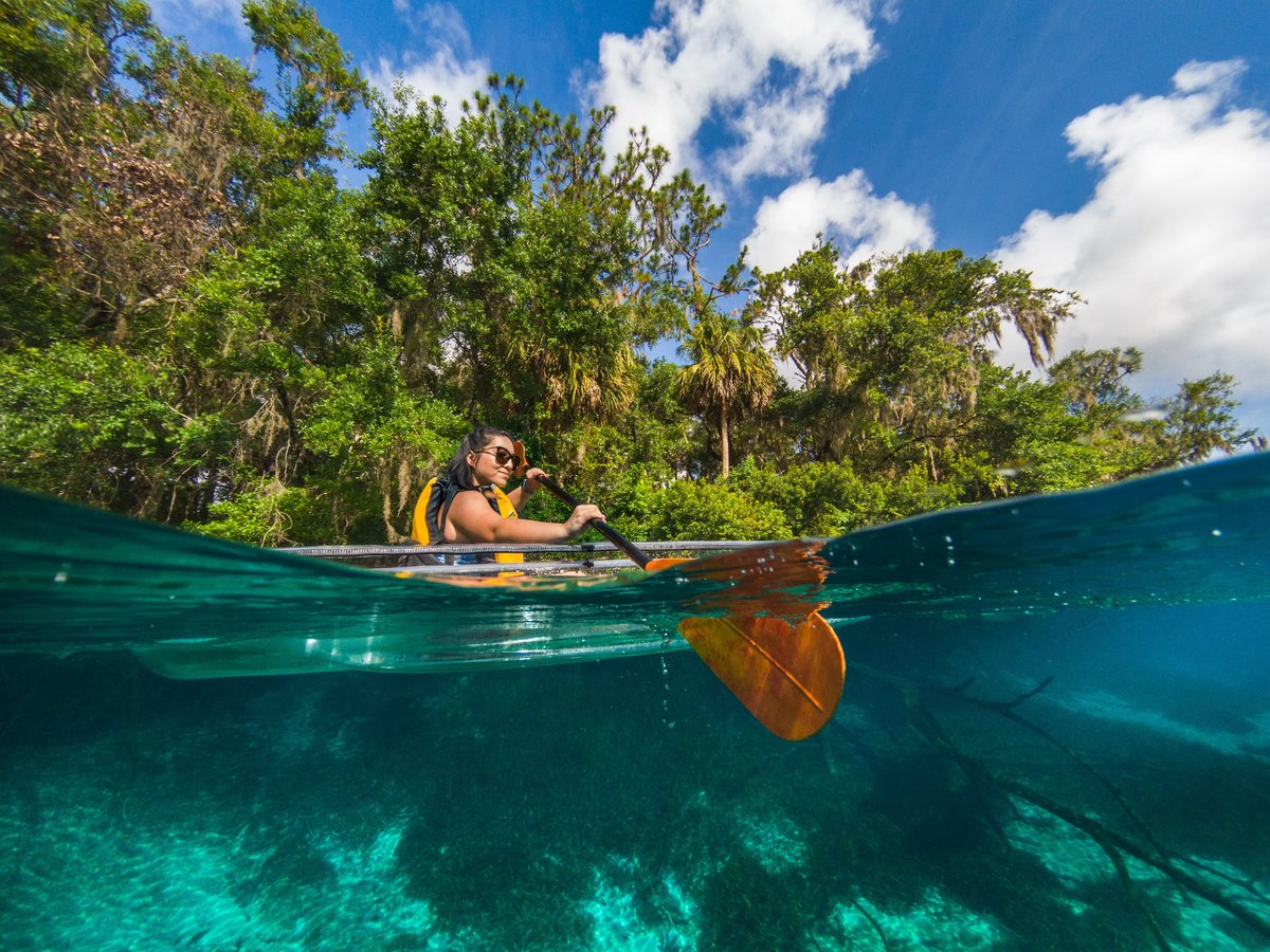 Rainbow Springs State Park Loop B