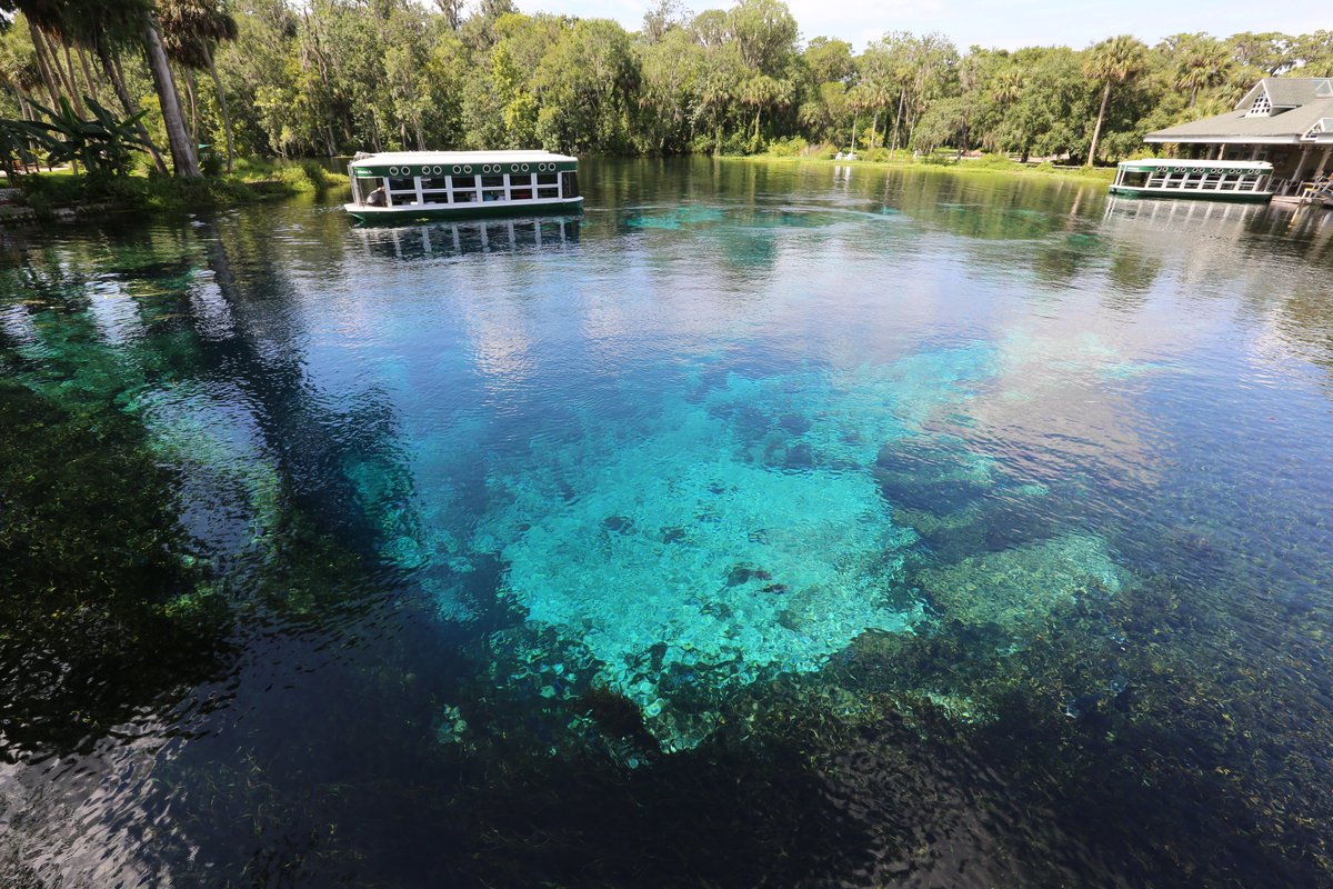 Silver Springs State Park Loop Fk2