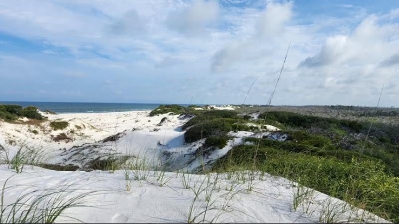 T.H. Stone Memorial St. Joseph Peninsula State Park Loop Cab