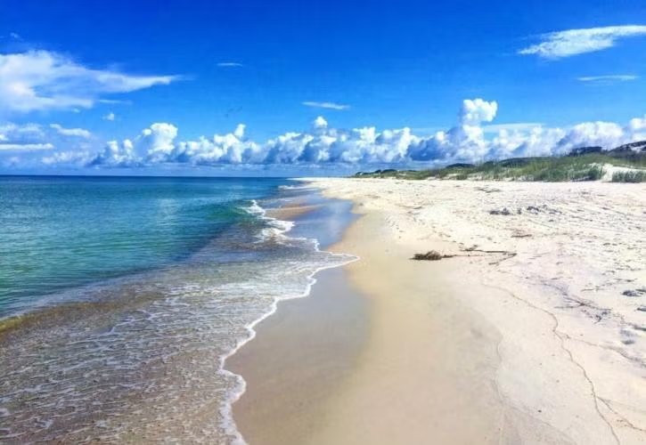 T.H. Stone Memorial St. Joseph Peninsula State Park Campground