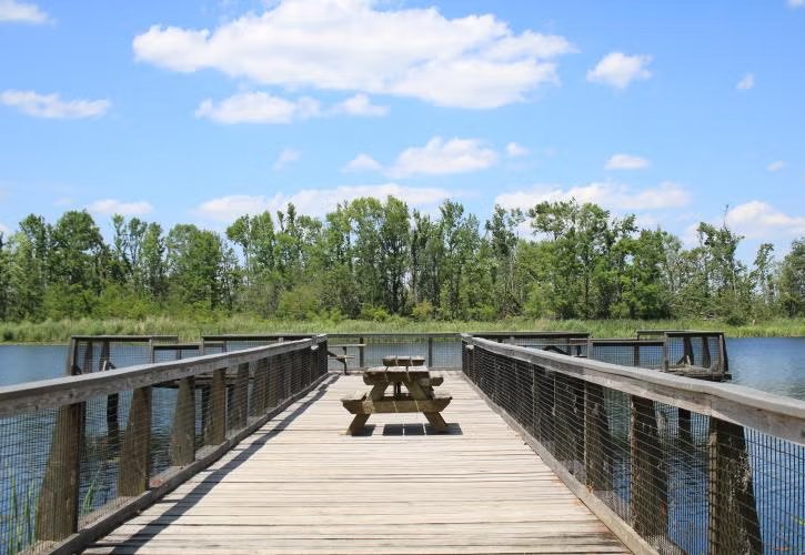 Lake View