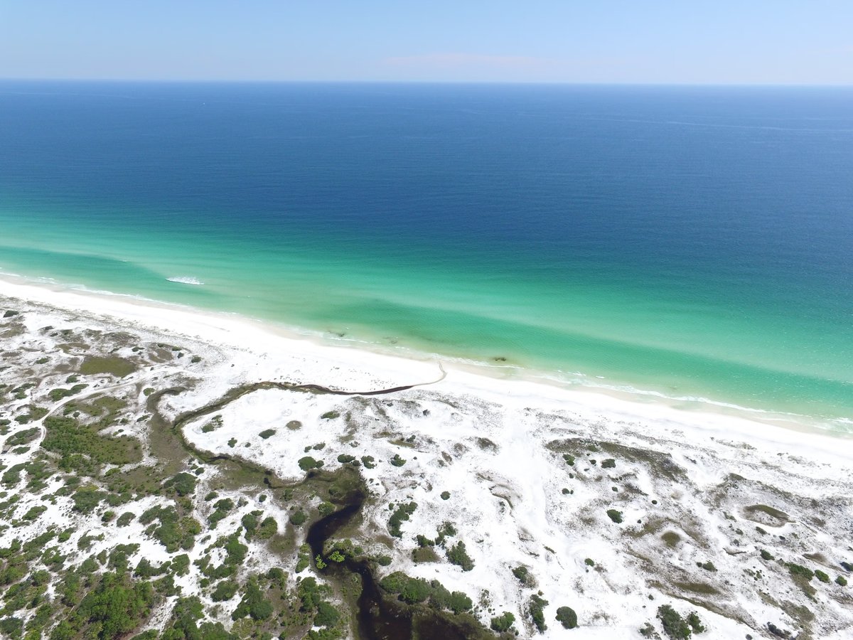 Topsail Hill Preserve State Park Loop 103