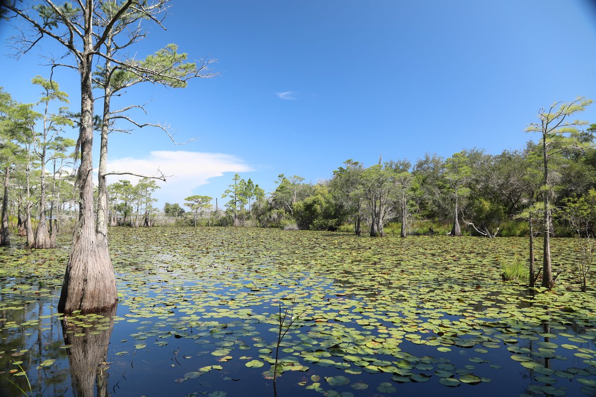 Topsail Hill Preserve State Park Campground
