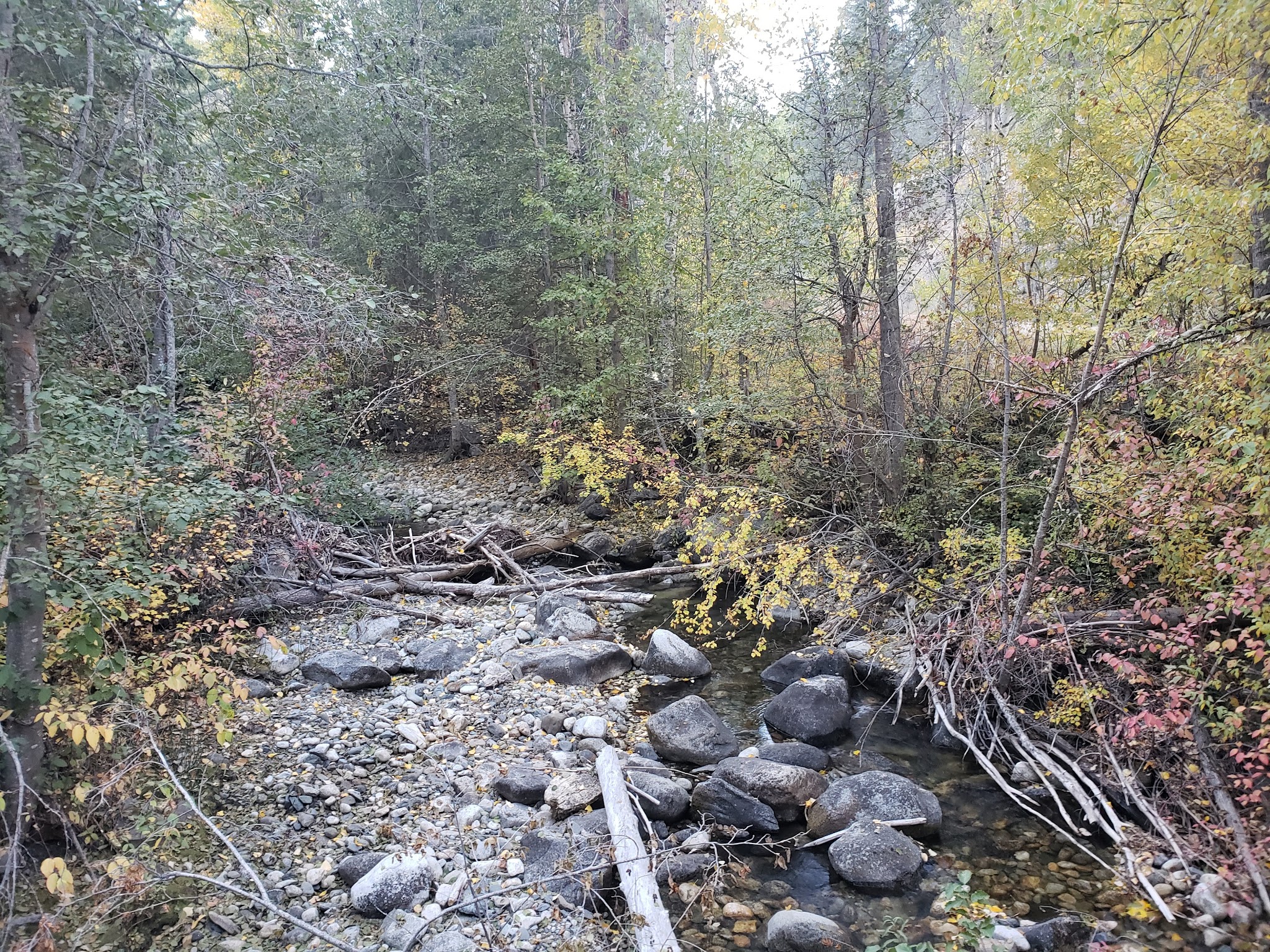 Foggy Dew Campground