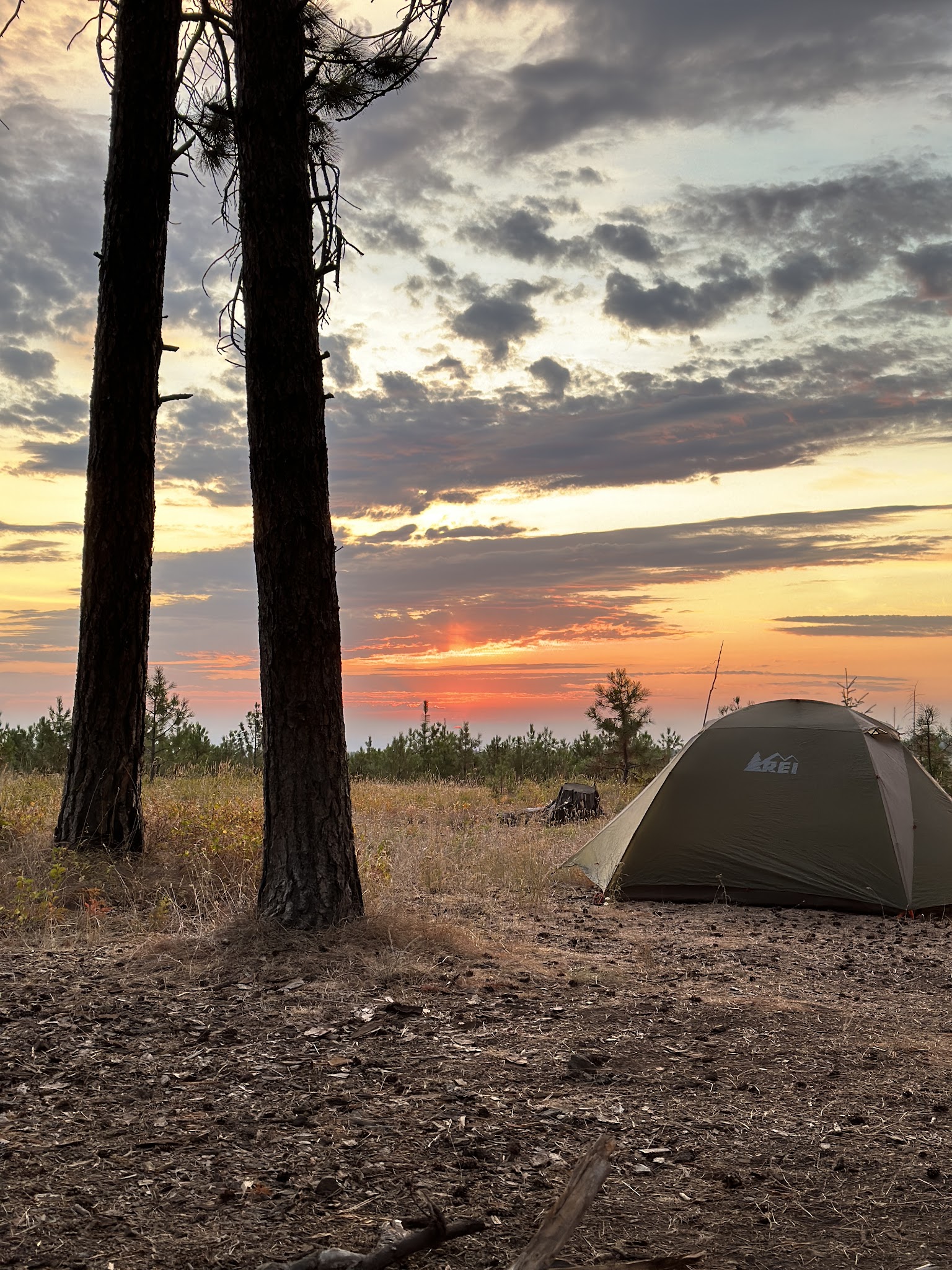 Forest Boundary Campground